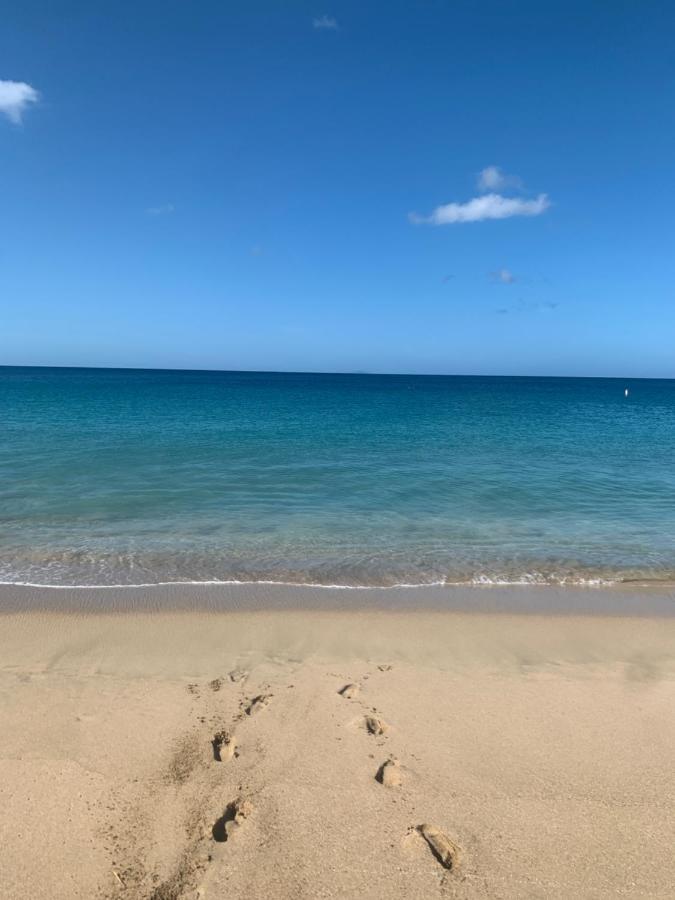 Aguadilla Waves Apt Free Parking & Wifi 8 Minute Walk From Crashboat Beach Ngoại thất bức ảnh